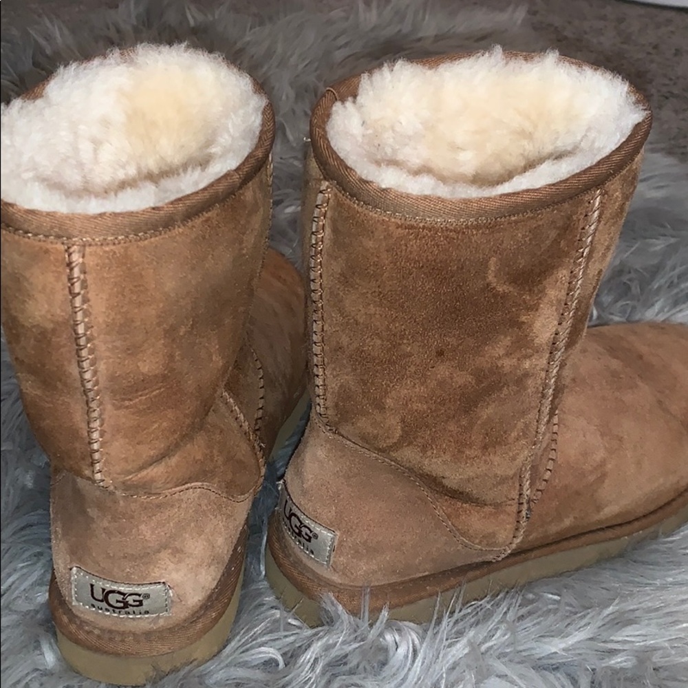 Uggs - image 1